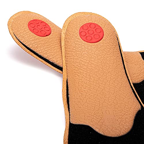 Leather Shoe Insoles with Orthotic Footbed I Insoles with Arch Support and Heel Cushion for Men and Women (UK 3 / 36 EU) 3 UK / 36 EU / 24 cm - BeesActive Australia