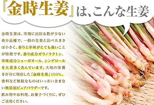 NICHIGA Kintoki Ginger, Powder, 3.5 oz (100 g), Kintoki Ginger, 100% Tested for Pesticide Residues [04] - BeesActive Australia