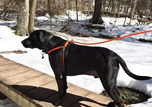 Harness Lead, Escape Resistant Leash, Reduces Pull, Dog Harness Orange Reflective Medium/Large (40-170 lbs) - BeesActive Australia