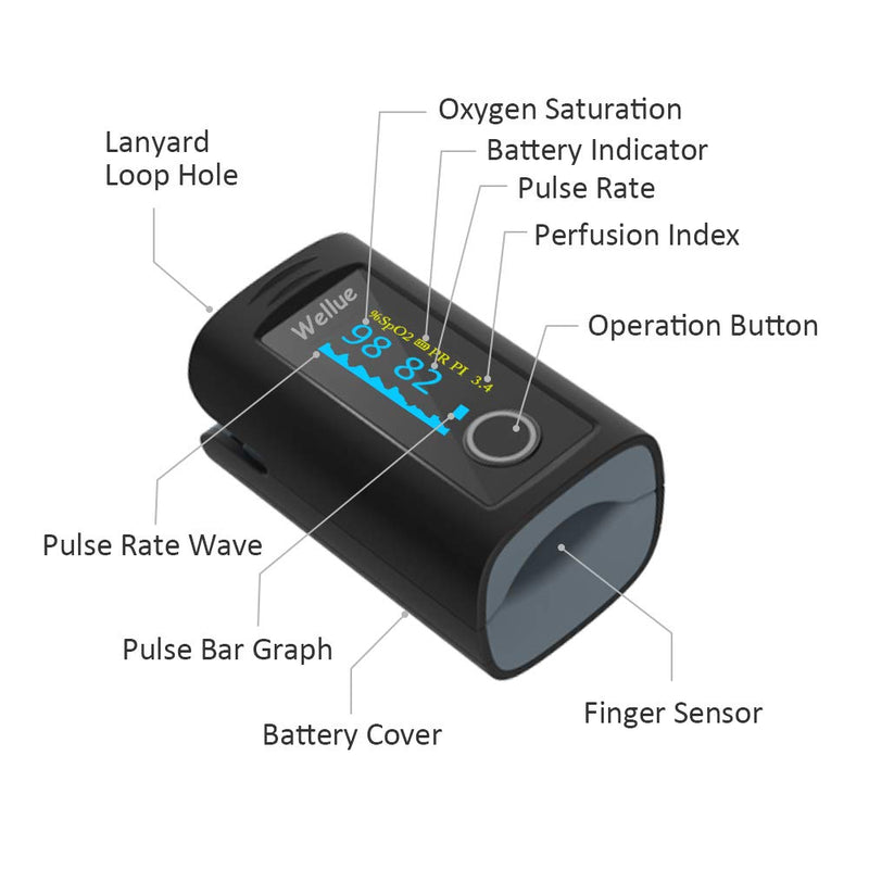 Wellue Fingertip Blood Oxygen Saturation Monitor with Alarm, Batteries, Carry Bag & Lanyard for Wellness Use Bluetooth - BeesActive Australia