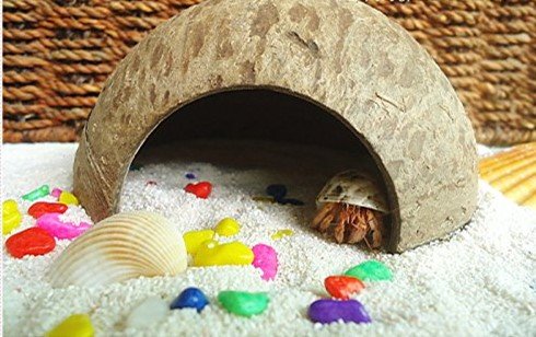 Natural Habitat Hideout Reptile, Lizard, Spider, Aquarium, Fish Hide Cave Hermit Crabs, Hamsters Natural Coco Hut Organic Non-Toxic Aquarium Decoration - BeesActive Australia