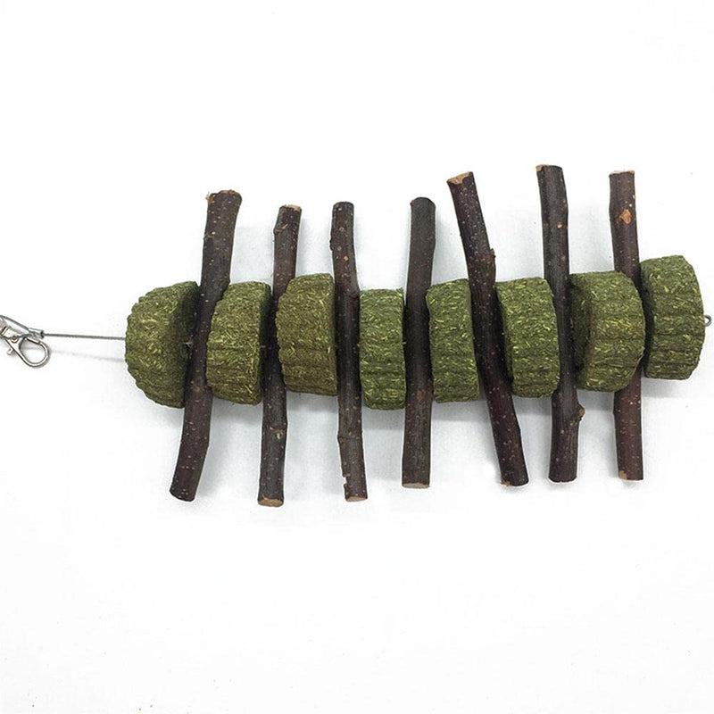 PeSandy Bunny Chew Toys for Teeth, Organic Apple Wood Molar Sticks with Timothy Hay Circles for Bunny Chinchilla Guinea Pig Hamsters Holland Lop Prairie Dogs Squirrels, Improves Dental Health 2 PCS Apple Stick String - BeesActive Australia