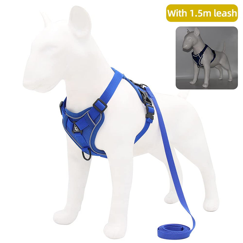 Reflective Dog Harness with 1.5m Leash Small Royal Blue - BeesActive Australia