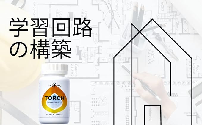 Kiron Torch Terminalia Arjuna 200 mg Amra 300 mg Gotukora 200 mg Holy Basil 180 mg 3 caps Synergy Blend Dopamine, Serotonin, Acetylcholine 90 Capsules, 30 Serving Supervised by a teacher in Japan. - BeesActive Australia