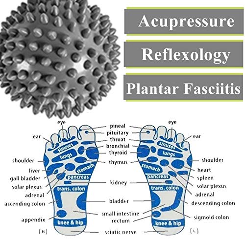 Plantar Fasciitis Foot Massage Roller - RIGHTWELL Muscle Massager & Hard Spiky Ball Set Perfect for Arm Pain-Heel & Foot Arch Pain Relief 1 ball - BeesActive Australia