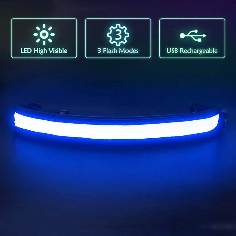 Illumifun Elastic LED Running Belt - USB Rechargeable - Glowing LED Waistband, High Visibility Waist Light, Light Up Safety Gear for Running, Cycling, Camping, Walking, etc Blue - BeesActive Australia