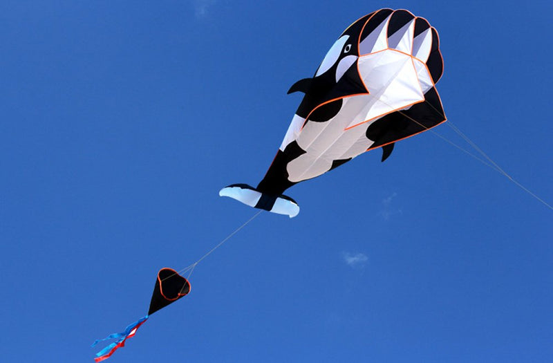 [AUSTRALIA] - Hengda KITE-3D Kite Huge Frameless Soft Parafoil Giant Black Dolphin Breeze Kite 