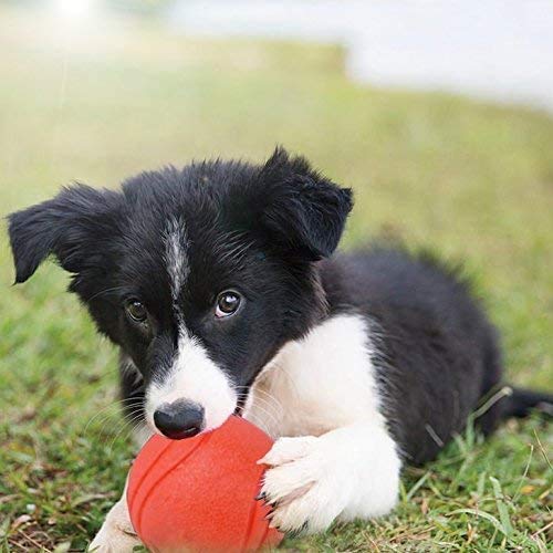 Rubber Dog Ball Chewing Balls Dog Soft Balls Cleaning Teeth Toys Balls with High Bounce for Small Medium Large Pet Toys Red - BeesActive Australia