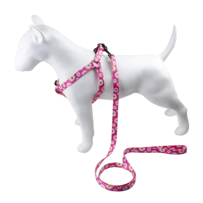 QQPETS Dog Harness Leash Set Adjustable Heavy Duty No Pull Halter Harnesses for Small Medium Large Breed Dogs Back Clip Anti-Twist Perfect for Walking XS(12"-18" Chest Girth) Daisy - BeesActive Australia