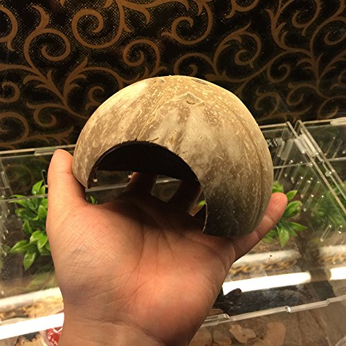 Natural Habitat Hideout Reptile, Lizard, Spider, Aquarium, Fish Hide Cave Hermit Crabs, Hamsters Natural Coco Hut Organic Non-Toxic Aquarium Decoration - BeesActive Australia