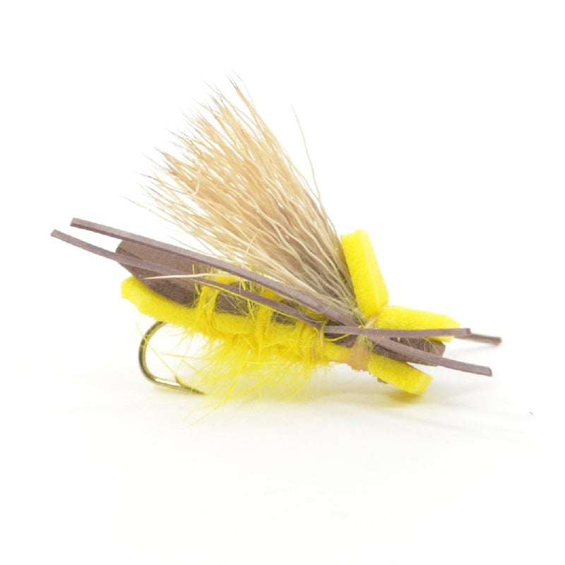 The Fly Fishing Place Basics Collection - Foam Hoppers Dry Fly Assortment - 10 Dry Fishing Grasshopper Flies - 5 Patterns - Hook Size 10 - BeesActive Australia