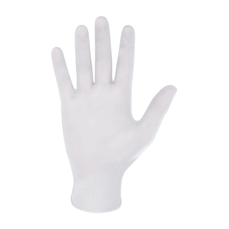 Drylife Clear Vinyl Powder/Latex Free Disposable Gloves - Extra Large (1 Box of 100) 100 Count (Pack of 1) - BeesActive Australia