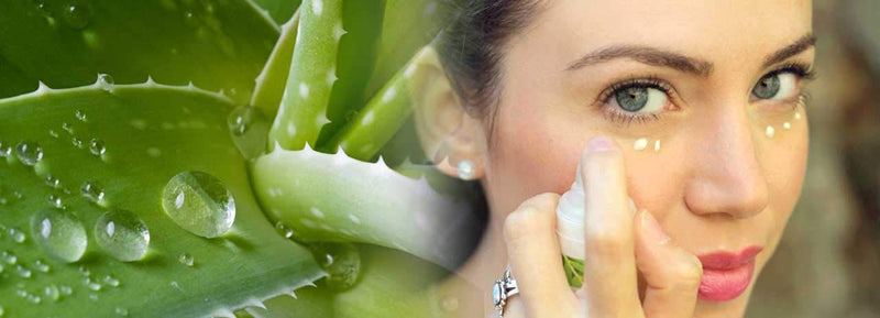 100% Pure Aloe Vera Gel, 500ml. Made from Fresh Aloe Vera Leaves from Organic Farming, 0% added water, no preservatives, no perfumes - BeesActive Australia