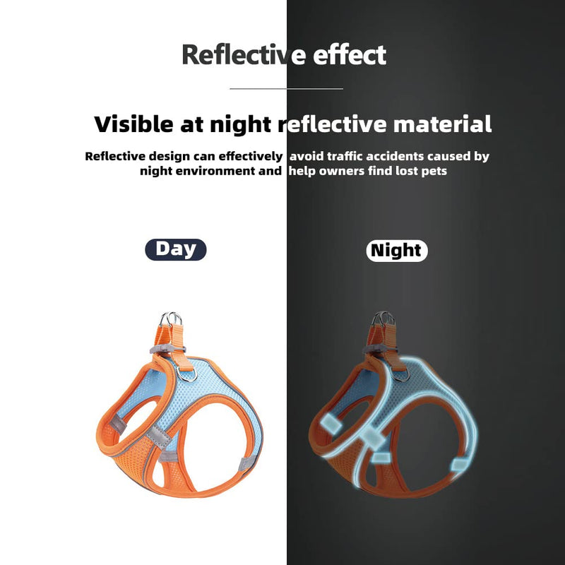 Richcatty 2.0 Generation Step in Air Dog Harness with 59“ Pet Leash for Dogs&Cats-Super Breathable Stable and Lightweight No Feeling Design More Comfortable Blend Orange M(Pet Weight12.1-16.5Lb) - BeesActive Australia