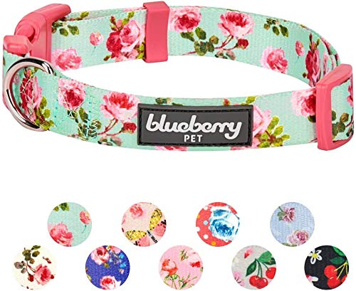 Blueberry Pet 10+ Patterns Spring Scent Floral Dog Collars, Personalized Collars X-Small Turquoise - BeesActive Australia
