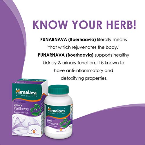 Himalaya Punarnava (Boerhavia Diffusa) – All Natural Support for Healthy Kidney and Urinary Function – 60 Capsules by Himalaya (Since 1930) - BeesActive Australia