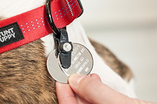 FreezeTag Dog Tag Silencer and Connector Sky Blue - BeesActive Australia