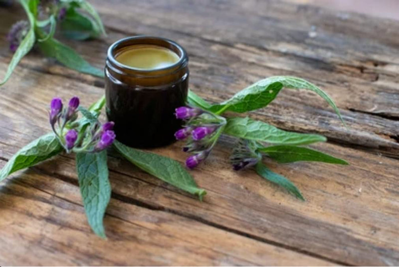 Natural Comfrey Ointment 120ml: bone break, fractures, wounds, joint & arthitic pain - BeesActive Australia