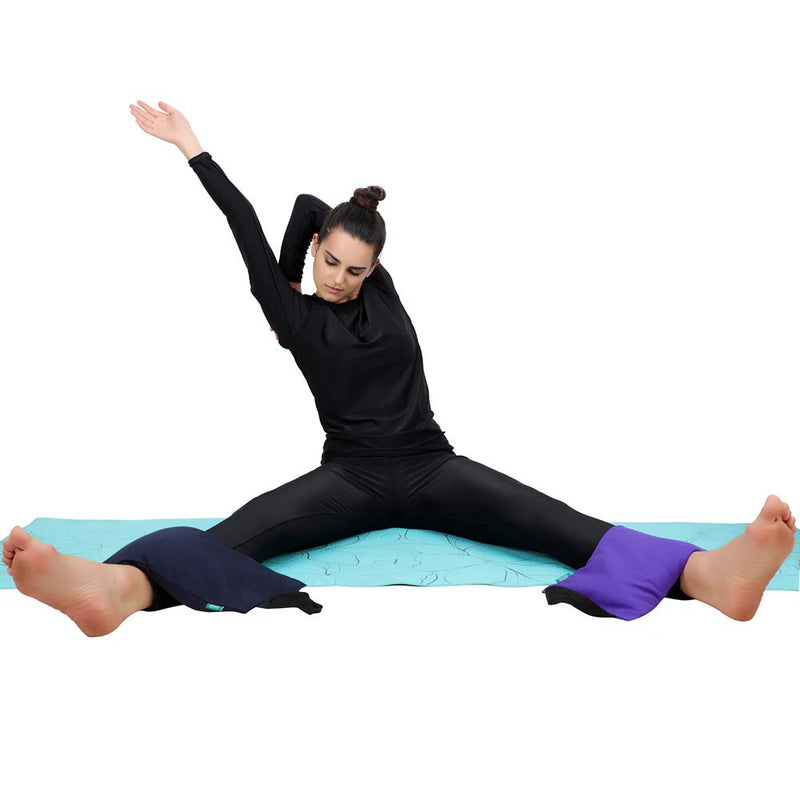 HealthAndYoga(TM) Yoga Sand Bags - Double Bag with Inner Waterproof Bag - Prop for Adding Weight and Support (Black) Black - BeesActive Australia