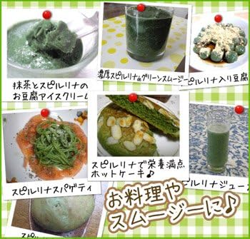 Spirulina 100% Spirulina powder (powder) 100g (for about 2 weeks) - BeesActive Australia