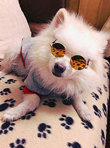 Dplus Cool Stylish and Funny Cute Pet Sunglasses Pet Goggles - Glasses Set of 5 - Classic Retro Circular Metal Prince Sunglasses for Cat,Chihuahua or Small Dogs (Classic Retro) - BeesActive Australia