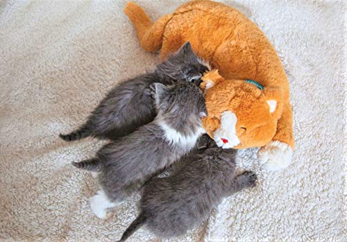 Calmeroos Plush Heartbeat Toys - Calming Separation Anxiety Relief Toys for Puppies and Kittens - Heartbeat Simulator in a Soft Comforting Pillow Pet Plush for Dogs and Cats Orange Kitty - BeesActive Australia