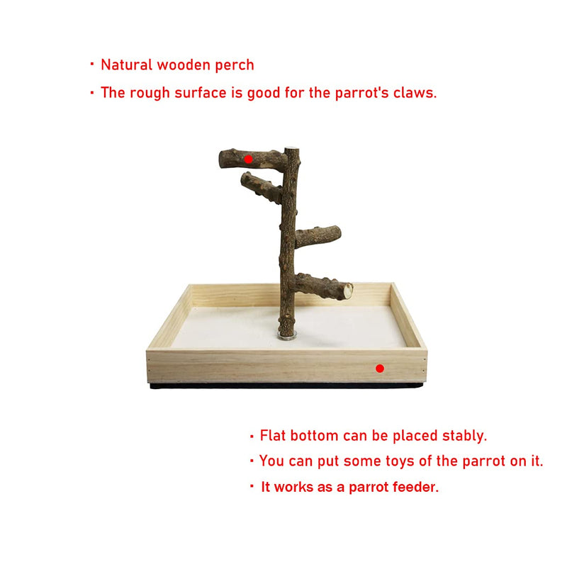 Hamiledyi Bird Perch Stand Tabletop,Parrot Playground Bird Gym Natural Wooden Perch PlayStand Platform for Parrots Parakeets Canaries Cockatiels Conure Lovebirds - BeesActive Australia