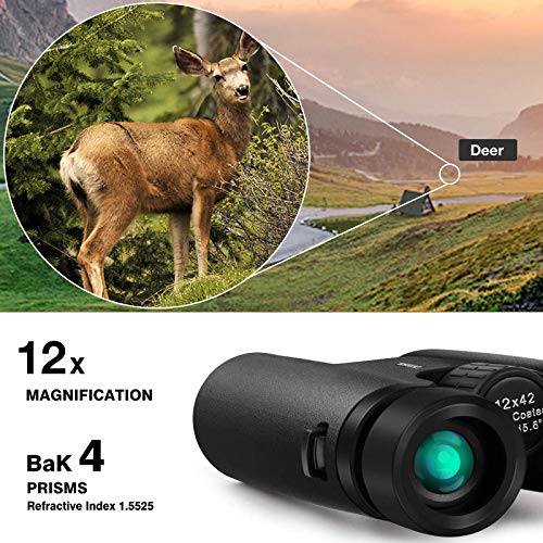12x42 Binoculars for Adults, Portable and Waterproof Compact Binoculars with Low Light Night Vision, HD Clear High Power Large View Binoculars with Upgraded Phone Adapter for Bird Watching, Hunting - BeesActive Australia