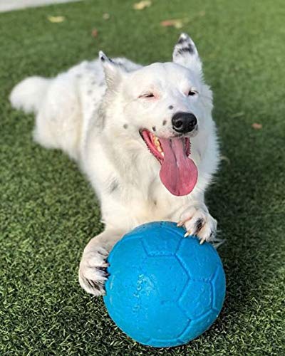 Jolly Pets Soccer Ball Floating-Bouncing Dog Toy Large/X-Large: 8 Inch Diameter Ocean Blue - BeesActive Australia
