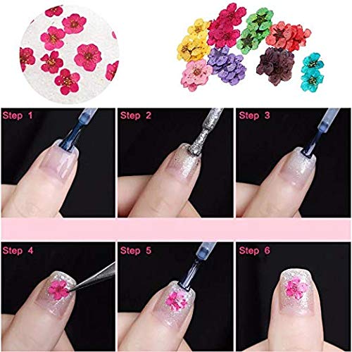 Valuu 3D Nail Dried Flowers Sticker 60 Five Petal Flower 12 Colors Natural Real Dry Flower Nail Stickers ?60 Flowers? - BeesActive Australia