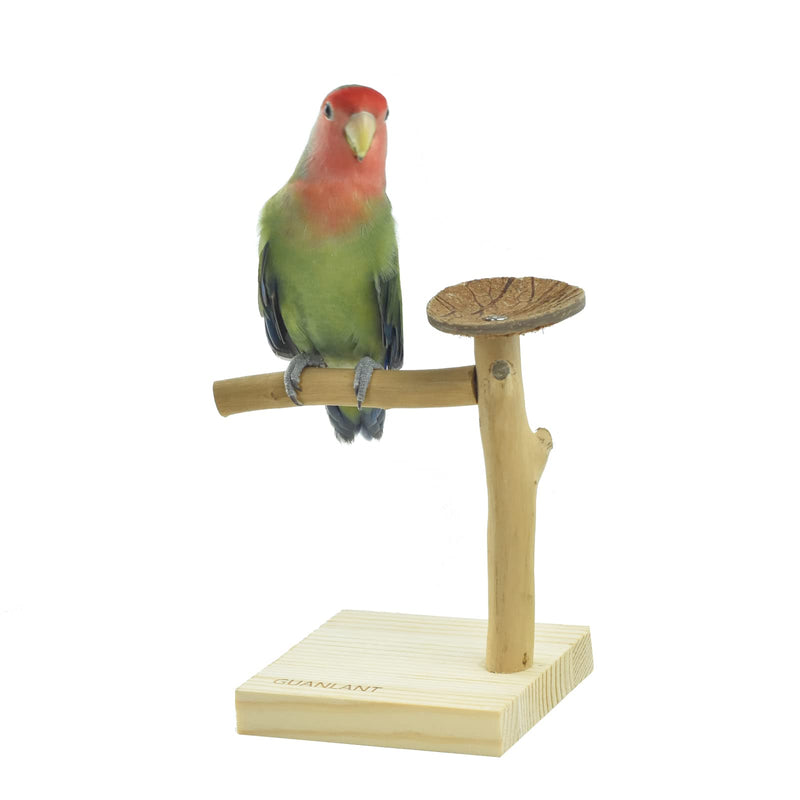 GUANLANT Natural Wood Bird Stands Feeder Toys, Tabletop Portable Training Parrots Perch Playstands Feeding Bowl Treats Toys,Bird Cage Playground Accessories for Parakeets Conure Budgies Lovebirds - BeesActive Australia