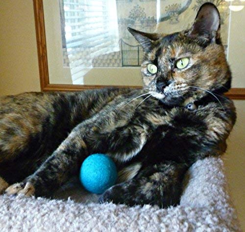 Felt Cat Teaser Wand Toy - Organic Wool Wand Toy Plus 2 Felted Ball Toys for Indoor Cats and Kittens Cat Squid Toy - BeesActive Australia
