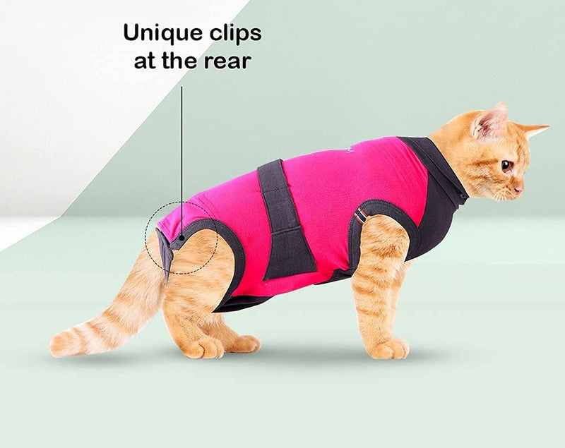 MAXX CAT E Collar Alternative Medical Pet Clothing Recovery Suit for Cats After Surgery Wear Wound Bandage Protection Anti Anxiety Body Wrap XS Red with Grey - BeesActive Australia