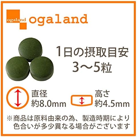 Condensation Chlorella Grain 100% - BeesActive Australia