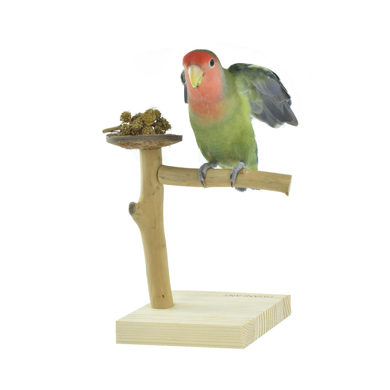 GUANLANT Natural Wood Bird Stands Feeder Toys, Tabletop Portable Training Parrots Perch Playstands Feeding Bowl Treats Toys,Bird Cage Playground Accessories for Parakeets Conure Budgies Lovebirds - BeesActive Australia