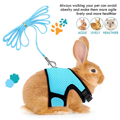 SATINIOR 2 Pieces Bunny Rabbit Harness with Leash Cute Adjustable Buckle Breathable Mesh Vest for Kitten Puppy Small Pets Walking Medium Blue, Pink - BeesActive Australia