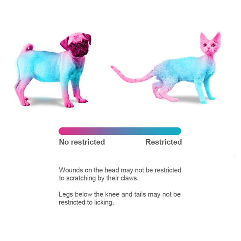 ccypet Pet Adjustable Recovery Collar - Recovery Protective Pet Cone Wound Healing Protective Soft Edge for Pets/Kitten/Cats/Small Dogs Medium - BeesActive Australia