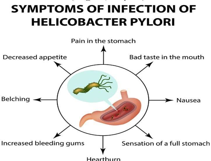 Stomach Ulcer Test Kit Helicobacter H Pylori ANTIGEN Professional Pack of 2 Tests - BeesActive Australia