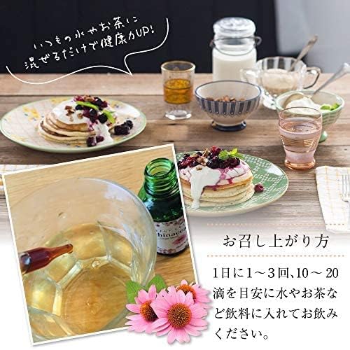 Echinacea Concentrated Extract (Made in Japan) Simply Mix with Water - BeesActive Australia