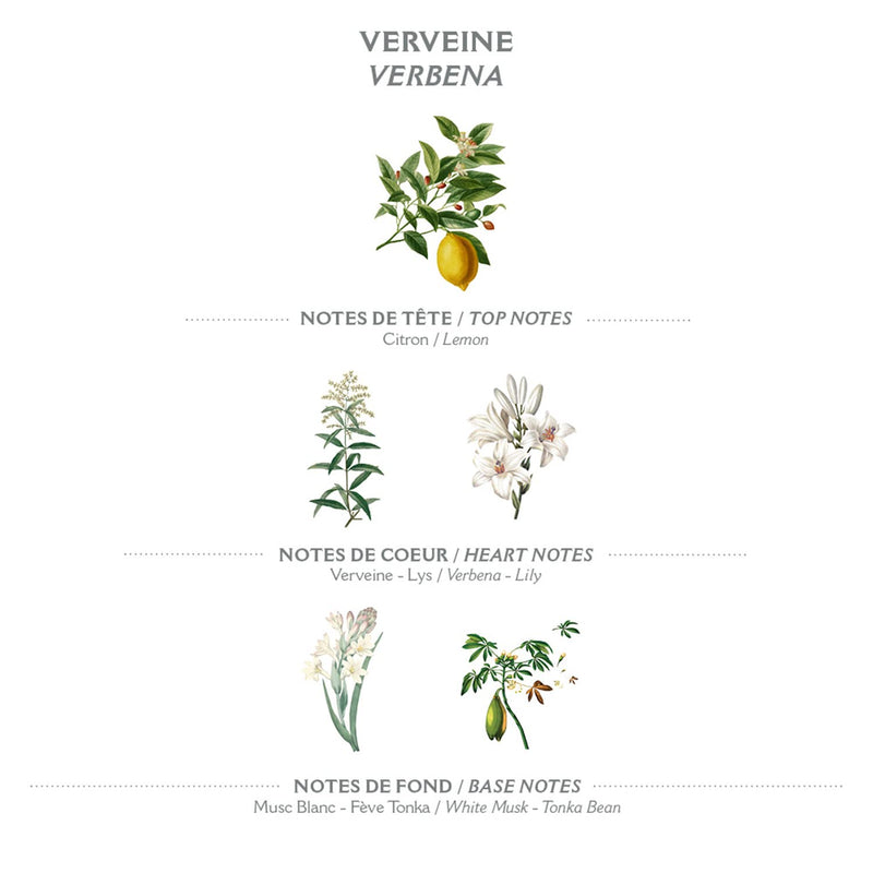 Panier des Sens Verbena Hand cream for dry cracked hands with Olive oil & shea butter, hand lotion - Made in France 97% natural - 1Floz/30ml 1 Fl Oz (Pack of 1) - BeesActive Australia