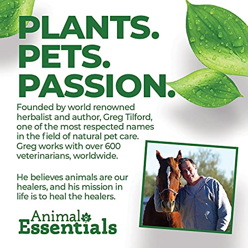 Animal Essentials Colon Rescue Powder Herbal Digestive Aid for Dogs & Cats, 1 oz - Made in USA GI Support, Phytomucil Blend - BeesActive Australia