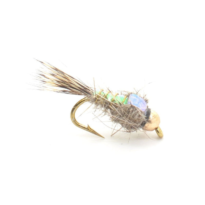 The Fly Fishing Place Bead Head Nymph Fly Fishing Flies - Flashback Gold Ribbed Hare's Ear Trout Fly - Nymph Wet Fly - 6 Flies Hook Size 12 - BeesActive Australia