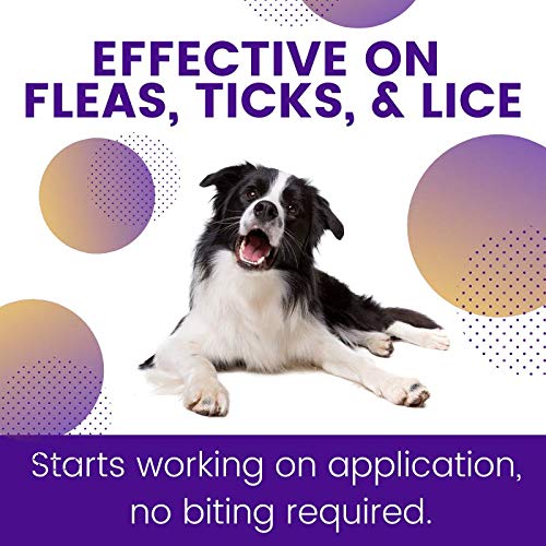 ZoGuard Plus Flea and Tick Prevention for Dogs (Medium - 23-44 lb) 3 Dose - BeesActive Australia