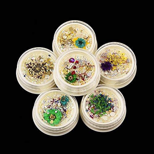 Regodon Beauty 3D Nail Charms, Dried flower nail art, Alloy jewelry, Rhinestones, Sequins, 6 pcs - BeesActive Australia