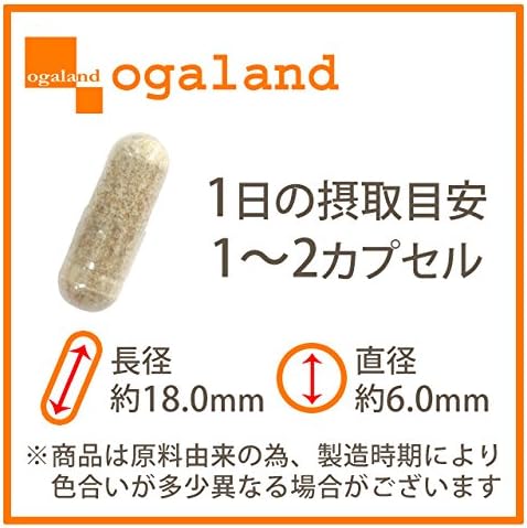 Ogaland (ogaland) Japanese knotweed (90 capsules / approximately 3 months supply) Contains 120 mg of young Japanese knotweed extract (for those who are concerned about discomfort during exercise) Polyphenol resveratrol - BeesActive Australia