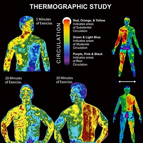Hot Cream,Belly Fat Burning Cream,Abdominal cream, Natural Sweat Workout Enhancer, Cellulite Treatment for Thighs, Legs, Abdomen, Arms and Buttocks, for Men or Women - BeesActive Australia