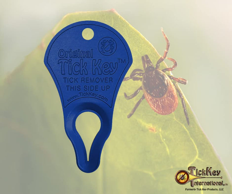 The Original Tick Key -Tick Detaching Device - Portable, Safe and Highly Effective Tick Detaching Tool - 3 Pack (Earth) - BeesActive Australia