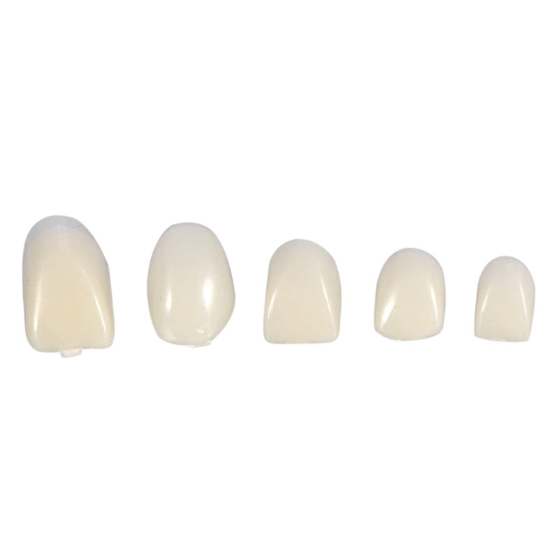 Temporary Crown for Front Teeth, 50Pcs/Box Resin Denture False Teeth Temporary Crown Material Anterior Front Teeth for Oral Care - BeesActive Australia