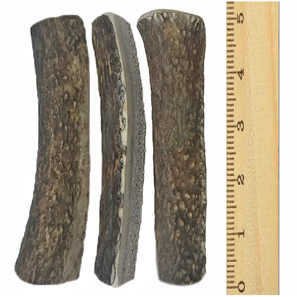 WhiteTail Naturals Premium Split Elk Antlers for Dogs | All Natural Dog Chews | Naturally Shed, Antler Bone Half-Cut Small (Pack of 3) - BeesActive Australia