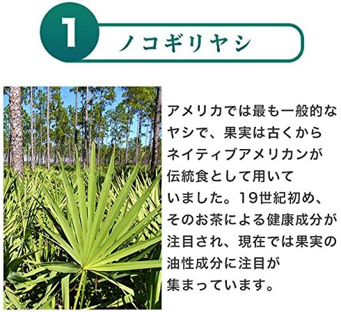 Saw palmetto (about 1 month's supply) - BeesActive Australia